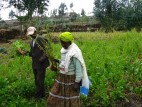 Integrated Approach Helps “Model Farmers” Increase Productivity