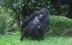 Promoting Family Planning and Livelihoods for a Healthy Environment in Uganda