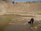 The Year of Drought and Flood