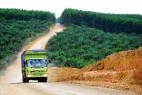 Compromise Is Hard: The Problems and Promise of REDD+