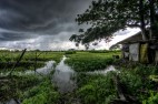Gauging the Impact of Warming On Asia’s Life-Giving Monsoons