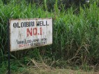 Regulating the Resource Curse: U.S. Adopts International Transparency Rules for Oil Industry