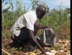 As Coal Boosts Mozambique, the Rural Poor Are Left Behind