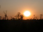 Ravao’s Story: A Health and Environment Champion From Madagascar’s Mikea Forest