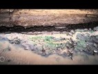 Water Scarcity, Agriculture, and Energy Are Focus of ‘Choke Point: China Part II’