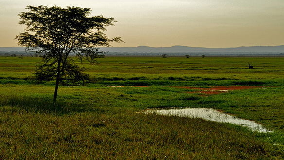 PROTECTING PARKS, EMPOWERING PEOPLE