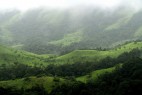 What’s Worth Saving? Maoists, Forests, and Development in India’s Western Ghats