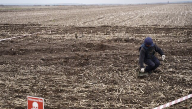 The Environmental Peacebuilding Association: Year in Review and What’s Ahead