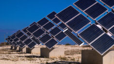 Powering Peace: Can Renewable Energy Help End Africa’s Conflicts?
