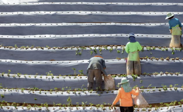 Reducing Nitrogen Losses to Protect Food and Environmental Security